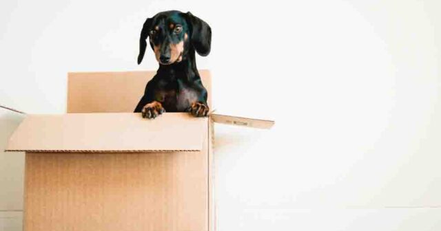 Discount Movers Nearby