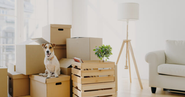 How Long in Advance Should I Contact Movers?
