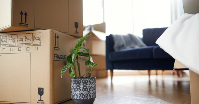 How much will my move cost?