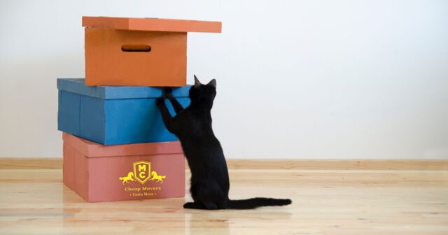 Best Moving Company USA