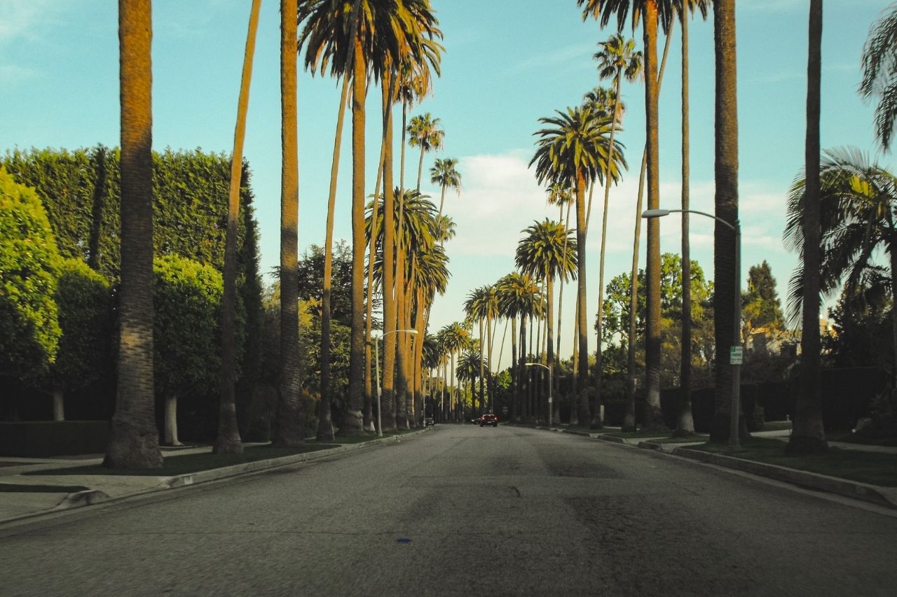 Beverly Hills Movers