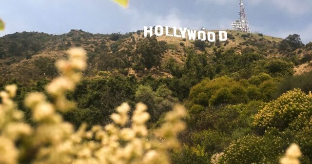 North Hollywood Movers