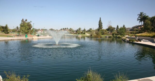 Lake Forest Movers