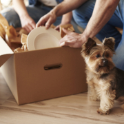 How to Make Moving with Pets a Paw-fect Experience