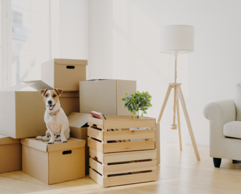 How Long in Advance Should I Contact Movers?